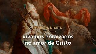 Homilia Diária | São Martinho, um bispo enraizado em Cristo (Mem. de São Martinho de Tours)