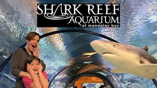 Shark Reef Aquarium Walking Tour | Las Vegas