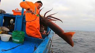 Ловля кальмара  |  Как организован этот процесс на промысловом судне