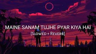 Maine Sanam Tujhe Pyar Kiya Hai [Slowed + Reverb] - Udit Narayan | Bewafaa | Lofi Songs | Lofi Vibes
