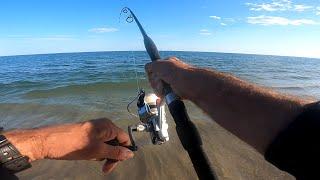 BLUEFISH Everywhere!!! - BEACH FISHING for BLUES - Top SALTWATER Action