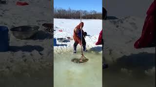 Unique Tools Net Fish Trap  Of Catching Lot Of Fish#shorts #viral #fishing