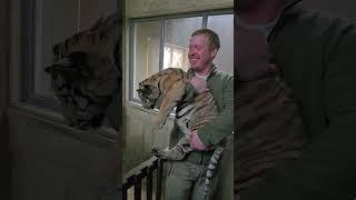 маруся в кино