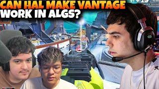 Falcons ImperialHal Puts VANTAGE To The Test BEFORE Playing In ALGS Scrims!