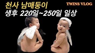 VLOG | 천사같은 남매둥이는 어떻게 놀까요? | 생후220일~250일 남매쌍둥이 일상