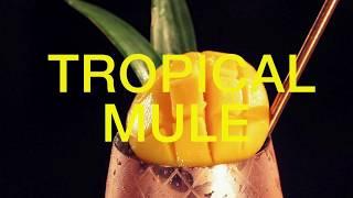 트로피컬 뮬Cocktail Making Tropical Mule 제이앤제이슨 Watching Music Lounge - Jay & Jason