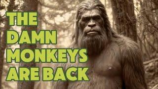 Bigfoot at Bumping Lake | New 2024 Documentary | Audio Files | Washington State