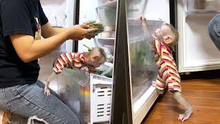 Helpful Maddox Meticulously Assists His Mom In Organizing The Fridge