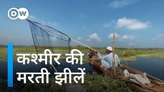 मुश्किल में धरती का स्वर्ग [Kashmir: Vanishing wetlands threaten wildlife, livelihoods]