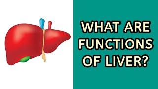 The Liver and its function (by Neurotech Lectures)