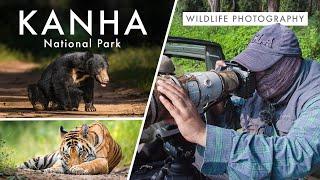 Wildlife Photography in Kanha National Park | TIGER COUNTRY Ep. 2 -  The Real Life Baloo