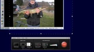 Camtasia Studio - Панель записи - Часть 1/3