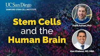 Stem Cells and the Human Brain - Medicine Informing Novel Discoveries (MIND)