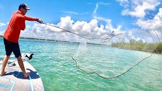 How to *CASTNET* MILLIONS of FISH!