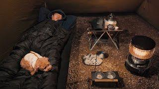 캠핑 브이로그 . 고요한 밤 텐트 안에서 듣기 좋은 새소리 . 강아지와 평온한 여행 . 소쩍새 소리 ASMR