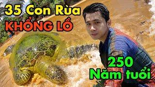 Vương Quốc RÙA KHỔNG LỒ hoang dã, Kinh Ngạc Rùa Cắn tay người