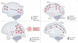 Presentation by Kallum Robinson on Theories of consciousness, Seth & Bayne 2022 Nat Rev Neuroscience