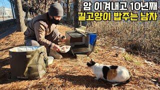 예술가였던 그가 암 투병에도 10년째 길고양이 돌보는 이유 "꼭 살리고 싶었어요"