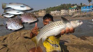 समुद्राच्या लाटांमध्ये पाग मासेमारी करून पकडले मोठे मासे. Cast net fishing. Mumbai Indian fishing