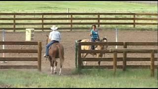 Exquisite Horse Property in Pagosa Springs Colorado