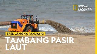 Dampak Ekspor Impor Pasir Membuat Kerusakan Lingkungan? - National Geographic Indonesia