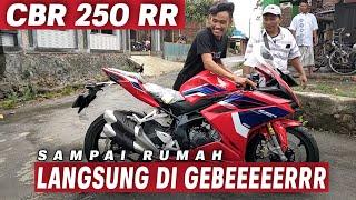 MASIH MUDA BELI CBR 250 RR | BEGINI REAKSINYA