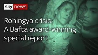 Special Report: The Rohingya refugee crisis