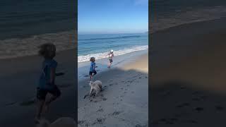 Run & Catch @ Thalia St - Laguna Beach, California