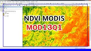 NDVI MODIS  | Download and Calculate NDVI MODIS MOD13Q1