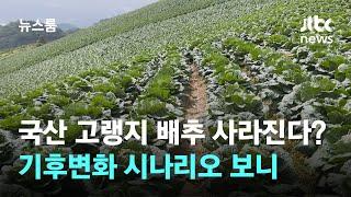 국산 고랭지 배추 사라진다?...기후변화 시나리오 보니 / JTBC 뉴스룸