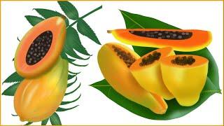 Papaya for Weight Loss: Top 5 Benefits That Make It Perfect for Quick Fat Loss