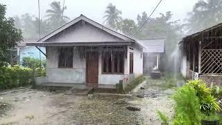 Horrible!! Walk in Thunderstorms and Super Heavy Rain in Rural Beautiful | ASMR Natural Rain Sounds