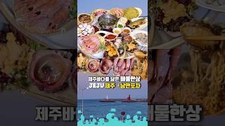 제주해산물 한상에 다 퍼주는 오션뷰 낭만포차이 맛에 제주도️상세설명:고정댓글 #제주여행 #제주맛집