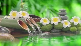 เพลงร้านนวดสปา ไม่มีโฆษณาคั่น จอดำ ฟังแล้วผ่อนคลาย สบายคลายเครียด Spa Music Relaxation