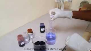 Gram staining for differentiating bacterial species