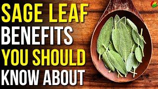 9 Benefits of Sage You Should Know | Health Benefits of Sage Leaves