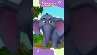 हाथी राजा कहाँ चले-Hathi Raja Kahan Chale |Hindi Nursery Rhyme & Balgeet | Infobells #hindirhymes