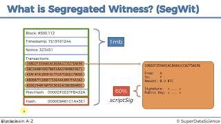 7  What is Segregated Witness SegWit