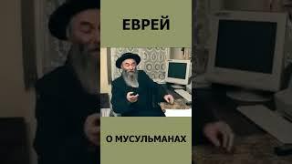 Еврей о мусульманах