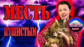 Дина Бурмина Месть Пушистым