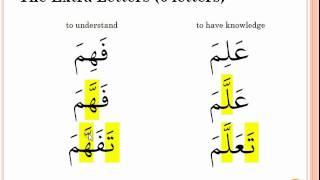 Arabic Verb Derivatives