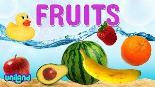 Sink or Float Challenge: Fruit | UniLand Kids