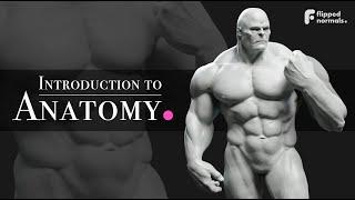 Introduction to Anatomy | Trailer