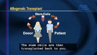 Bone Marrow Transplant Patient Information: Chapter 2 - Bone Marrow Transplants
