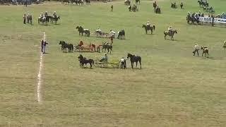 Clinton Arkansas Championship Chuckwagon races 2019