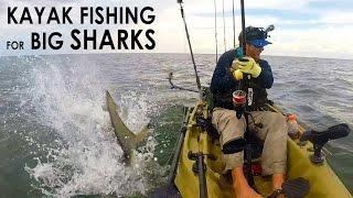 Kayak Fishing: BIG Sharks Offshore | Field Trips with Robert Field
