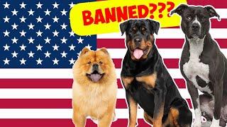 Dangerous Dog Breeds You Never Knew Were Banned in the USA