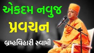 એકદમ નવુજ પ્રવચન ~ બ્રમ્હવિહારી સ્વામી | BAPS Katha | Baps Pravachan | Baps live