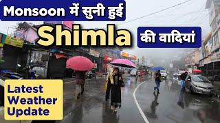 Shimla का ताजा हाल | Shimla Monsoon weather update | Latest Shimla Video | Shimla News Today #shimla