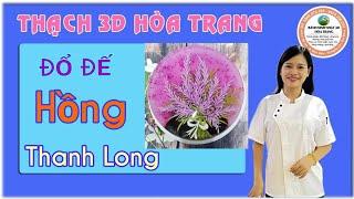 HD ĐỔ ĐẾ HỒNG TỪ THANH LONG - THẠCH 3D HOA TRANG(JELLY CAKE)